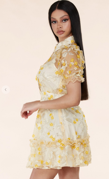 Keanu Lace Applique Dress