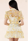 Keanu Lace Applique Dress